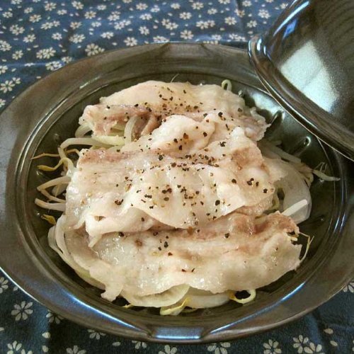 Amazon.com: CtoC Japan Steamer Microwave Cookers 焼杉 with Base 03